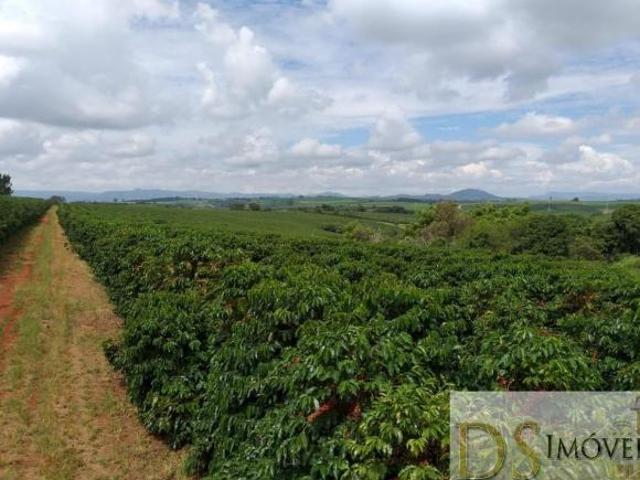 Sítio e chácara venda em Região Geográfica Imediata de Piumhi, Jerumenha