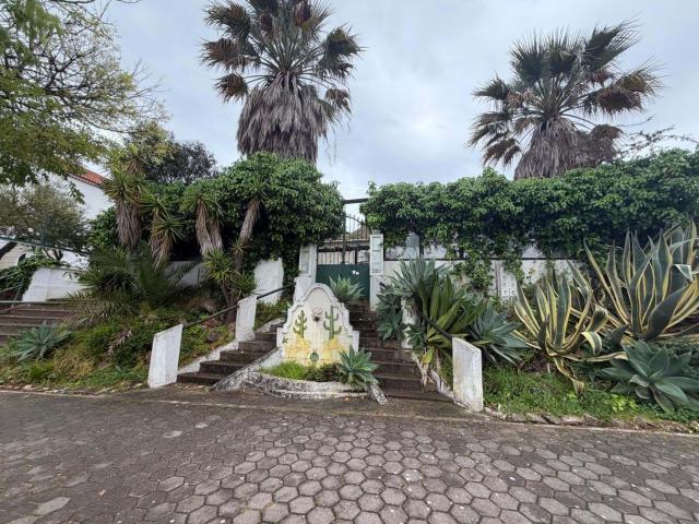 Armazém venda em Lagos, Faro