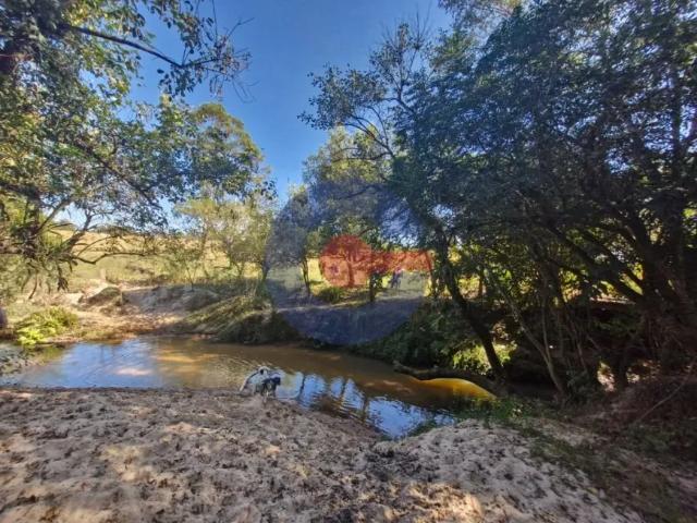 Fazenda venda em Região Imediata de Rio Claro, Região Metropolitana de Piracicaba