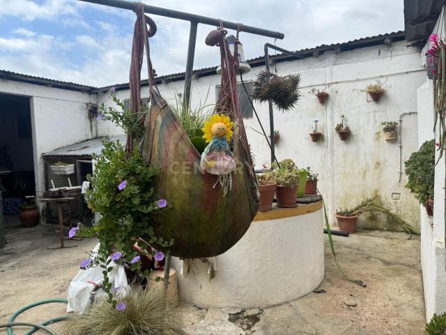 Loja venda em Vendas Novas, Évora