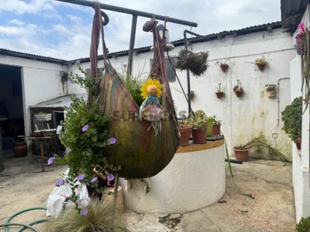 Armazém venda em Vendas Novas, Landeira