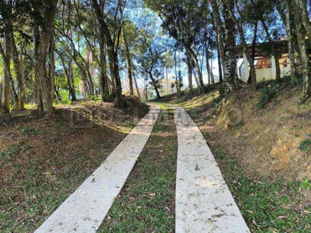 Sítio e chácara venda em Água Branca, São Paulo