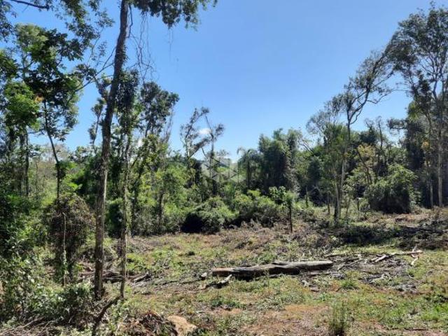 Terreno venda em Região Geográfica Imediata de Bento Gonçalves, Bento Gonçalves