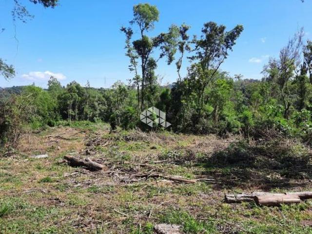 Terreno venda em Região Geográfica Imediata de Bento Gonçalves, Bento Gonçalves