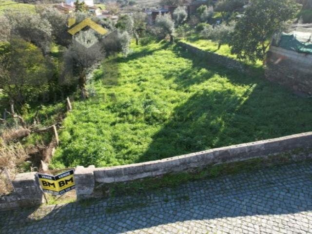 Terreno venda em Castelo Branco