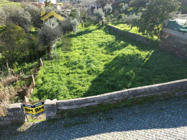 Terreno venda em Castelo Branco