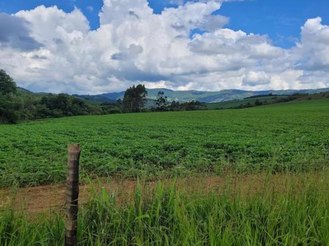 Sítio e chácara venda em Região Geográfica Imediata de Poços de Caldas, Caldas