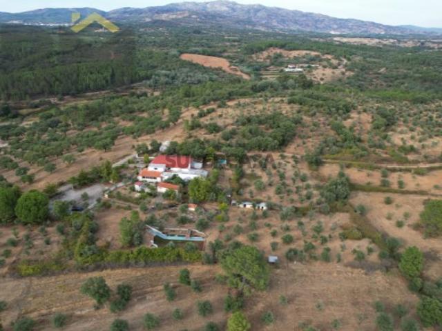 Casa venda em Castelo Branco
