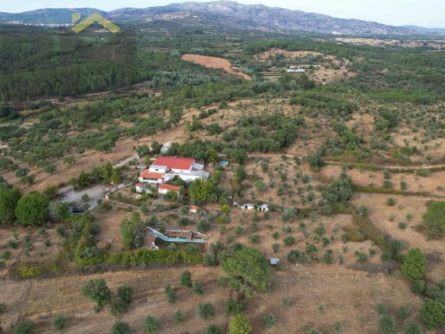 Quinta venda em Castelo Branco