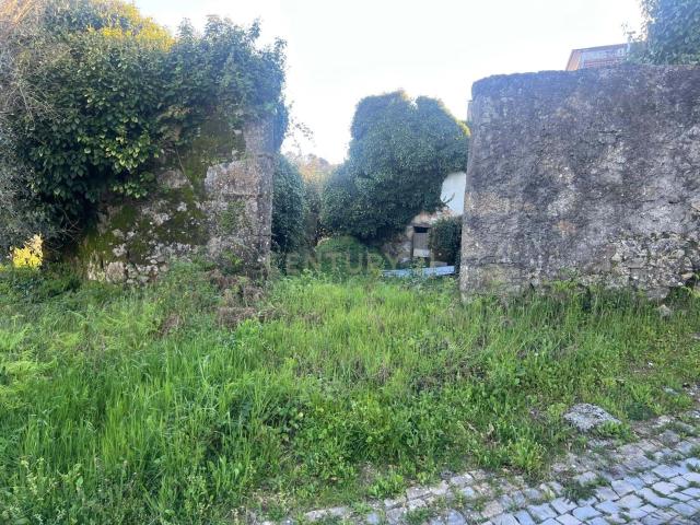 Terreno venda em Fonte da Guisa, Figueiró Dos Vinhos