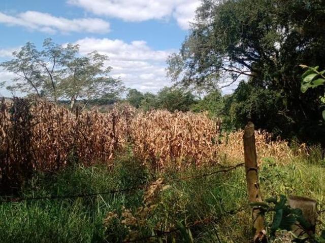 Sítio e chácara venda em Região Imediata de Itapetininga, Angatuba