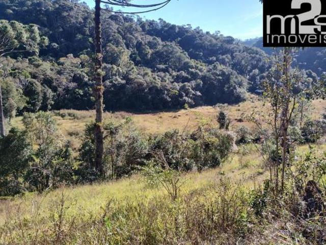 Sítio e chácara venda em Região Imediata de Guaratinguetá, Região Metropolitana do Vale do Paraíba e Litoral Norte