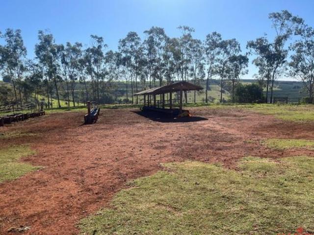 Sítio e chácara venda em Região Imediata de Ribeirão Preto, Região Metropolitana de Ribeirão Preto