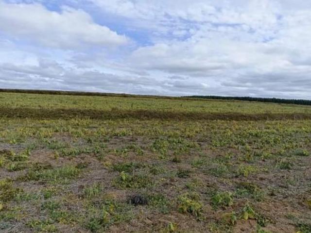 Sítio e chácara venda em Região Imediata de Itapetininga, Região Metropolitana de Sorocaba