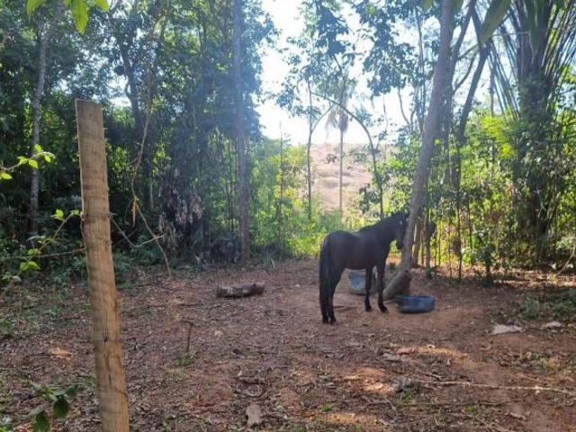 Terreno venda em Região Geográfica Imediata de Governador Valadares, Governador Valadares