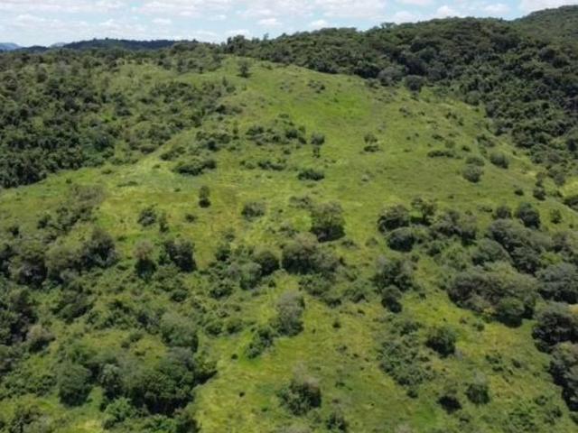 Terreno venda em Região Geográfica Imediata de Oliveira, Piracema