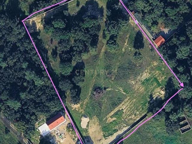 Terreno venda em Azeitão (São Lourenço e São Simão), Setúbal