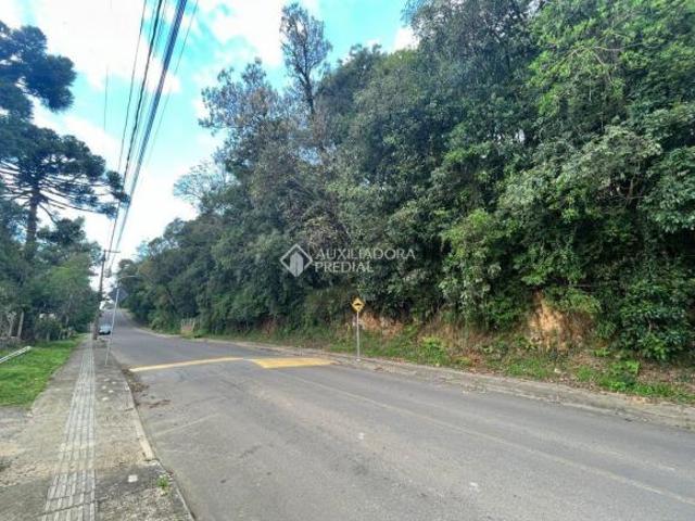 Terreno venda em Região Geográfica Imediata de Caxias do Sul, Canela