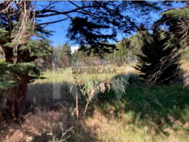 Terreno venda em Fonte das Eiras, Sintra