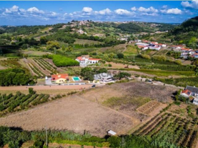 Terreno venda em Alcobaça, Leiria