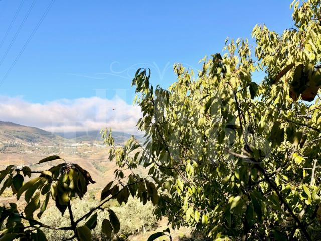 Terreno venda em Resende, Barrô