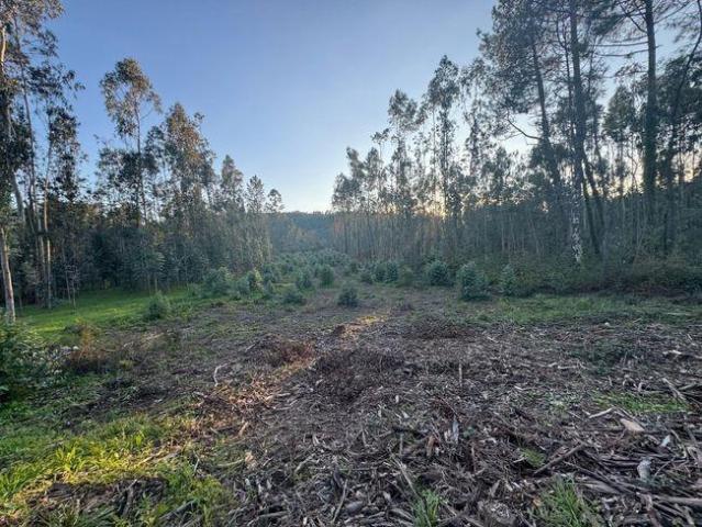 Terreno venda em Batalha, São Mamede