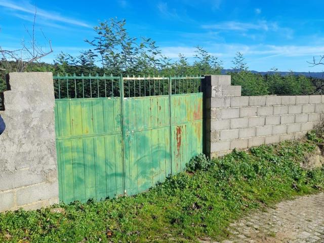 Terreno venda em Castelo Branco