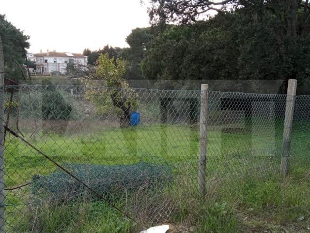 Terreno venda em Azeitão (São Lourenço e São Simão), Setúbal