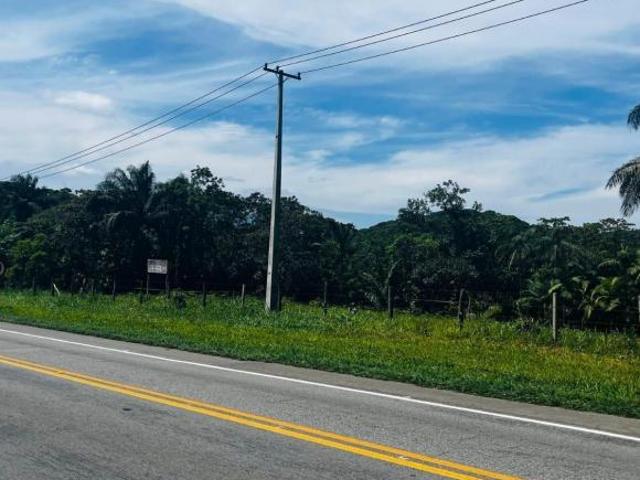 Terreno venda em Região Geográfica Imediata de Paranaguá, Antonina