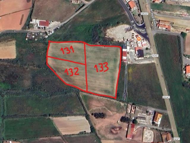Terreno venda em Mafra, Lisboa