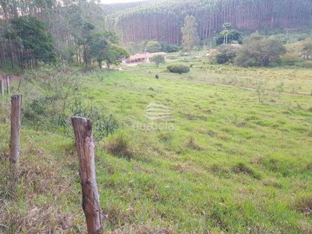 Sítio e chácara venda em Região Imediata de Itapeva, Ribeirão Branco
