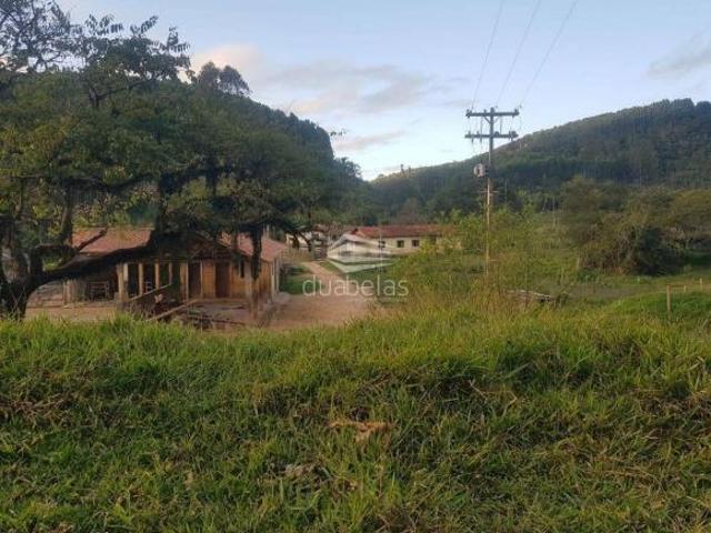 Sítio e chácara venda em Região Imediata de Itapeva, Ribeirão Branco