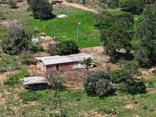 Sítio e chácara venda em Região Geográfica Imediata de Unaí, Região Integrada de Desenvolvimento do Distrito Federal e Entorno