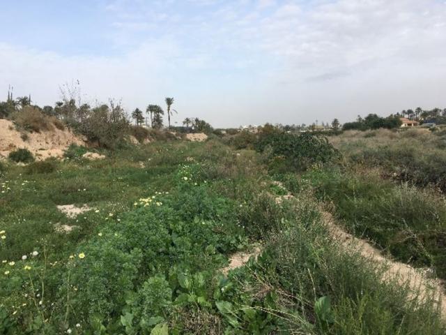 Terreno en venta en Dones de les Palmes, el Baix Vinalopó