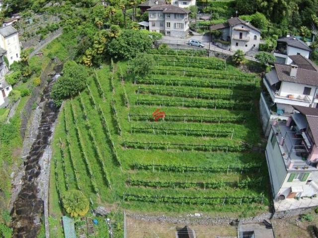Immobilie kaufen in Terre di Pedemonte, Tessin