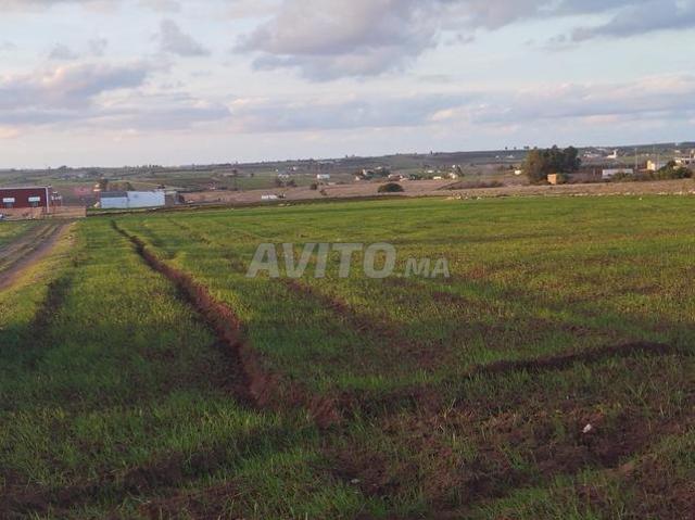 Propriété vente à El Ma, Gharb-Chrarda-Beni Hssen