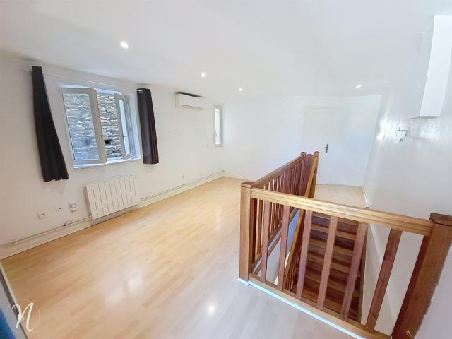 Maison vente à Lyon, Métropole de Lyon