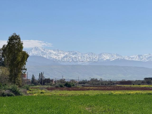 Terrain vente à Marrakech, L'Oriental