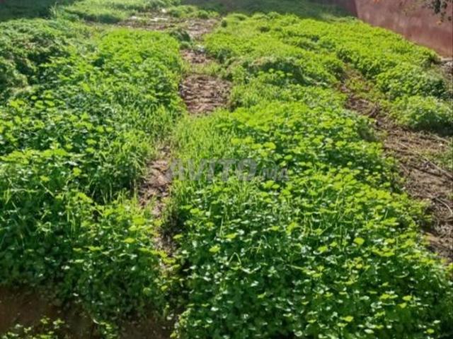 Propriété vente à Anfa, Gharb-Chrarda-Beni Hssen