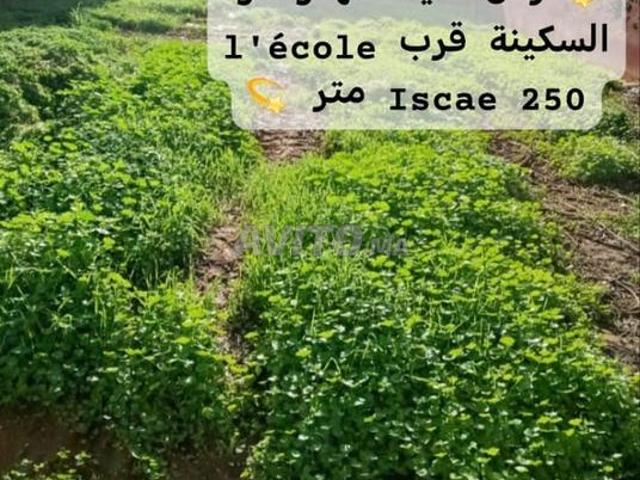 Propriété vente à Anfa, Gharb-Chrarda-Beni Hssen