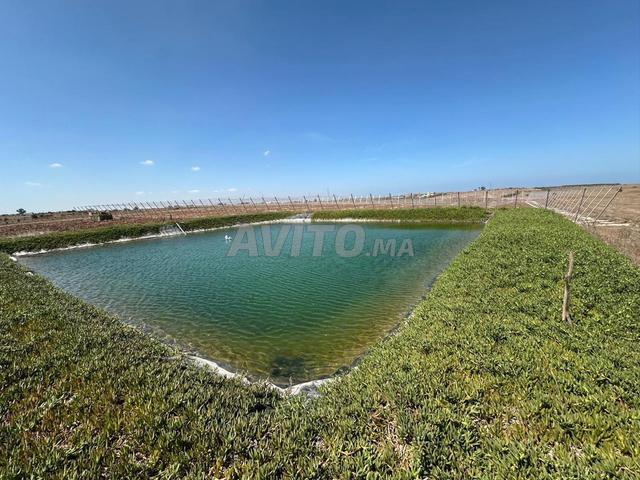 Propriété vente à El Ma, Gharb-Chrarda-Beni Hssen