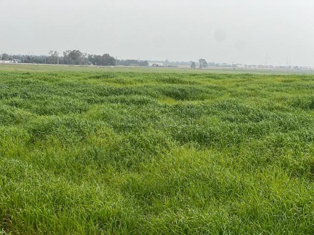 Terrain vente à Slimane, Gharb-Chrarda-Beni Hssen