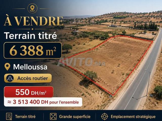 Propriété vente à Centre Ville