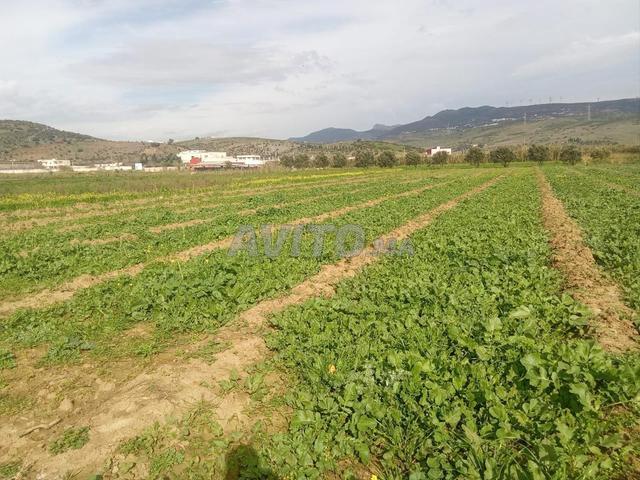 Propriété vente à Tangero, Tanger-Tétouan
