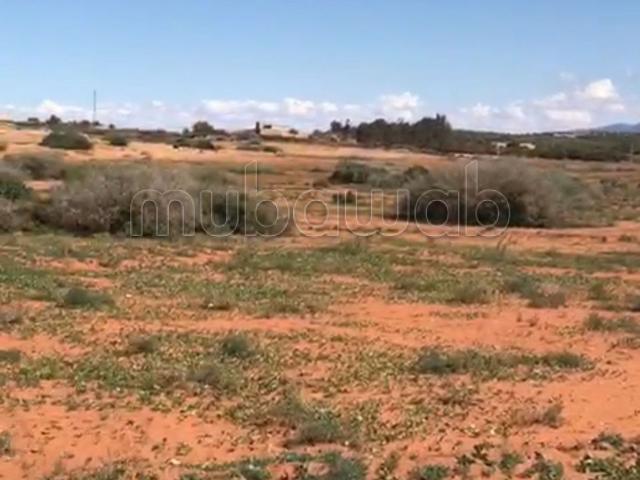 Ferme vente à Berkane