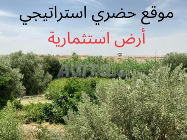 Propriété vente à Guercif