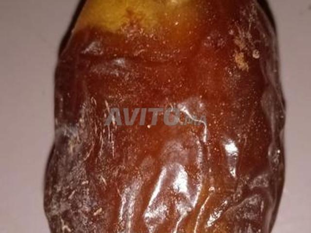Propriété vente à Erfoud