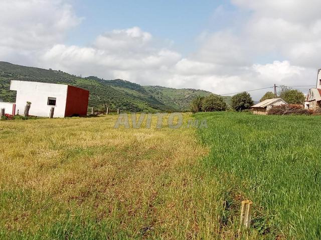 Propriété vente à Tétouan, Tanger-Tétouan