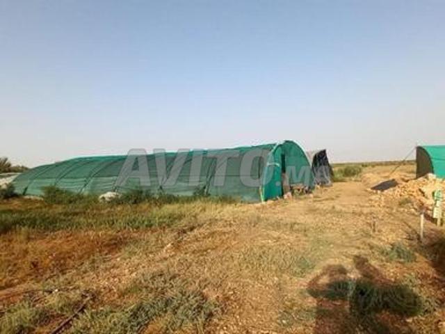 Propriété vente à Essaouira, L'Oriental