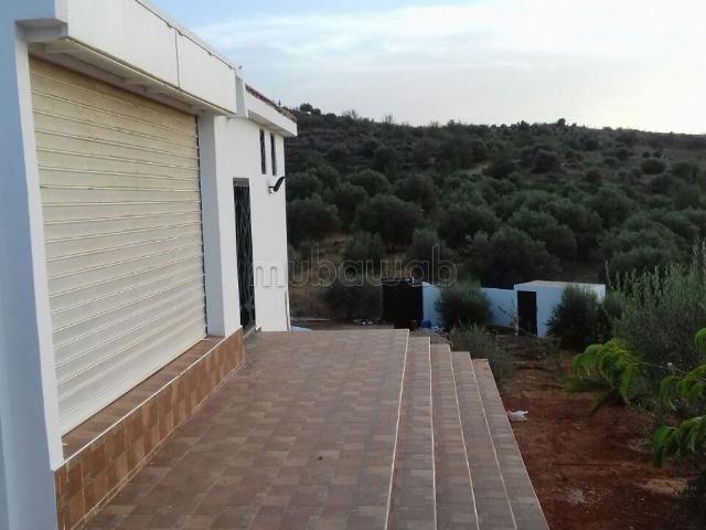 Ferme vente à Khémisset